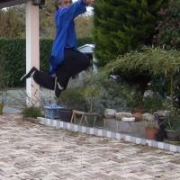 Epée saut