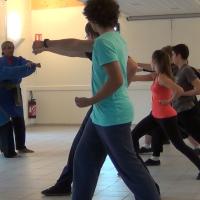 Vo dao kung fu