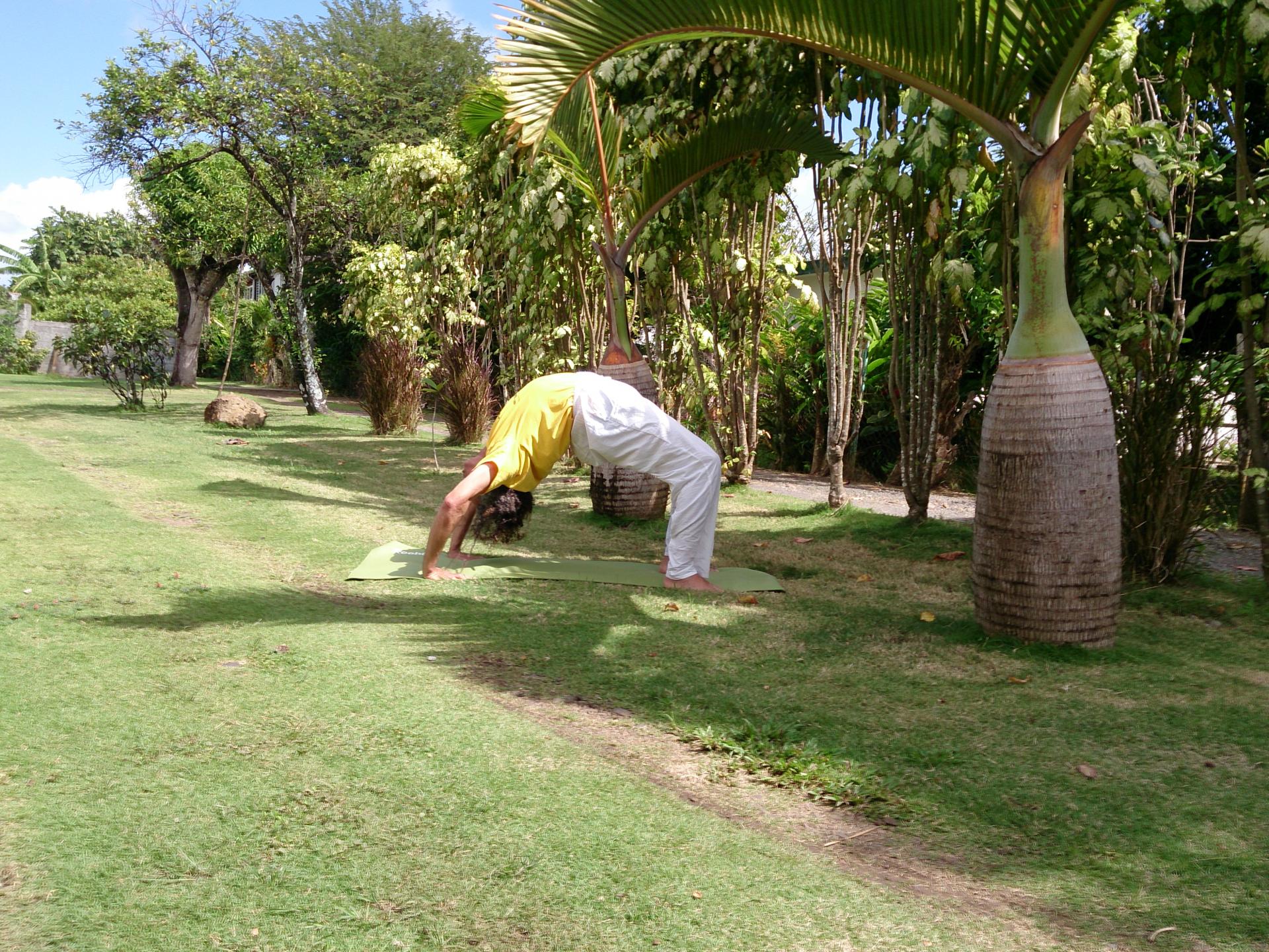 Yoga la roue